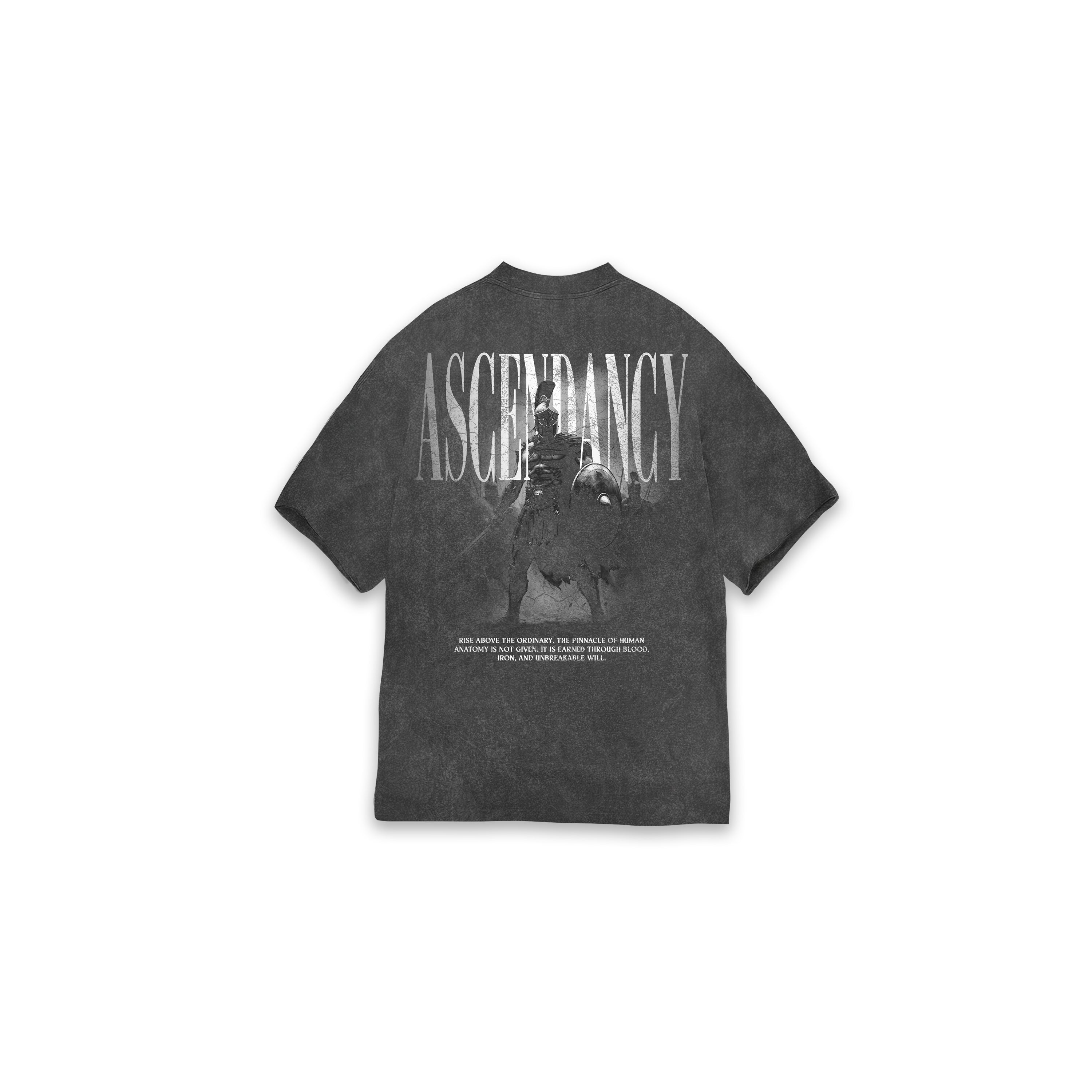 OVERSIZE ASCENDANCY - ACID WASHED LIGHT GREY
