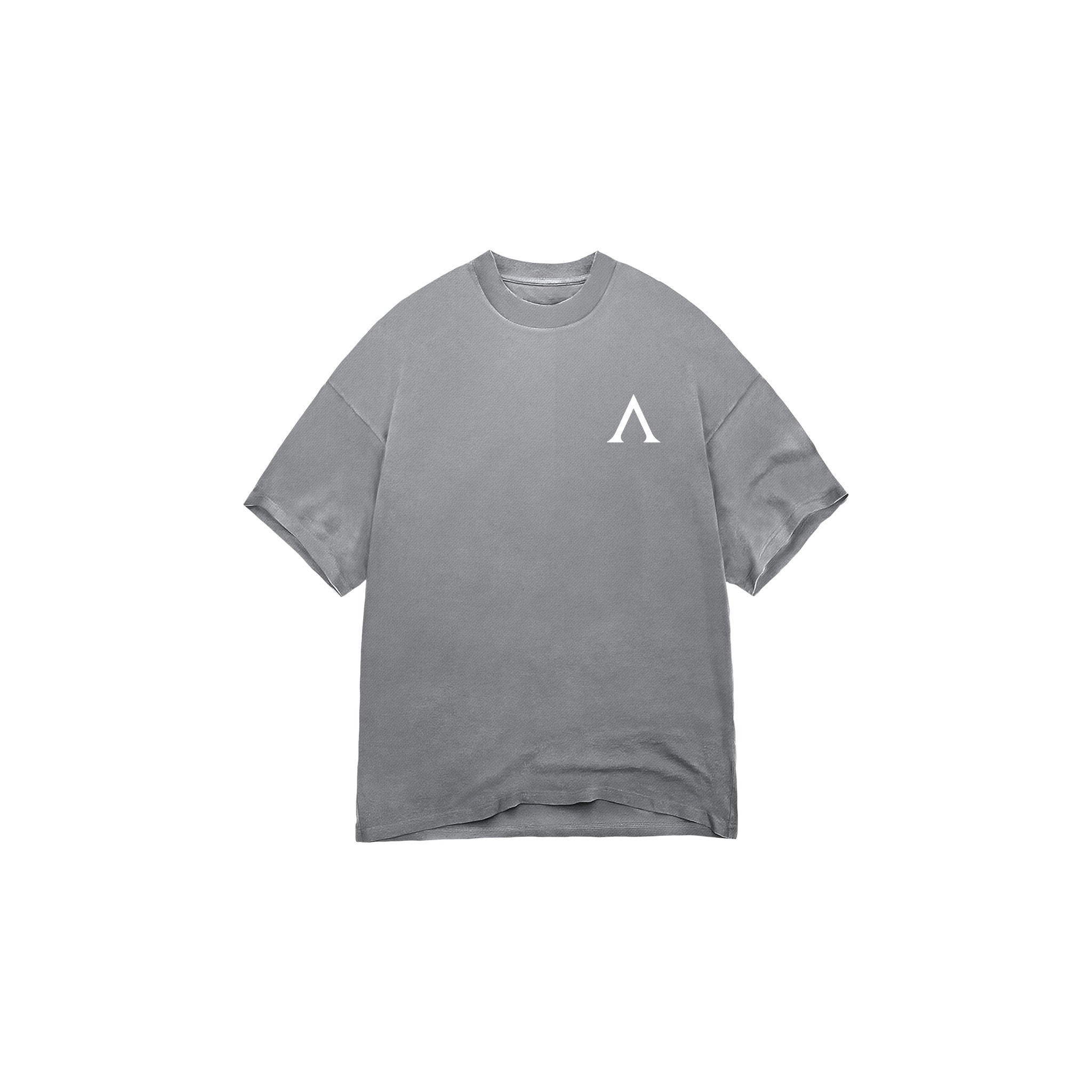 OVERSIZE ETERNAL LEGACY - WASHED LIGHT GREY