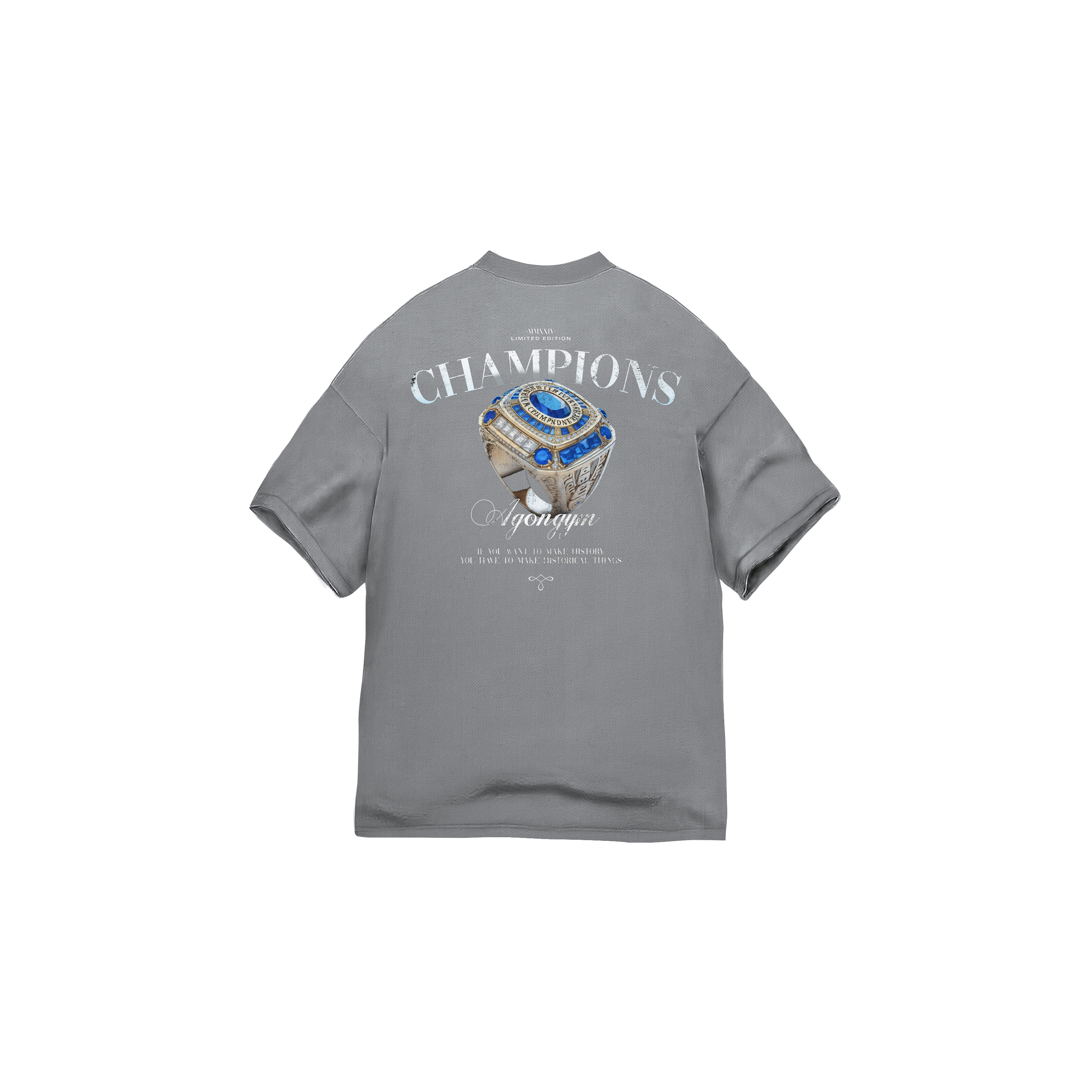 Oversize Champion Washed Light Grey — Vista trasera